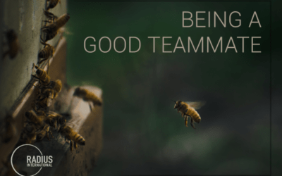 Being a Good Teammate