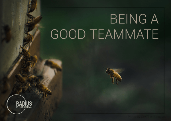 Being a Good Teammate